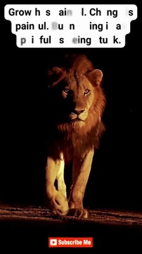 Stay Disciplined ♠ #motivation #mindset #quotes #hardwork #discipline #shorts