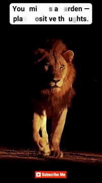 Stay Disciplined ♠ #motivation #mindset #quotes #hardwork #discipline #shorts