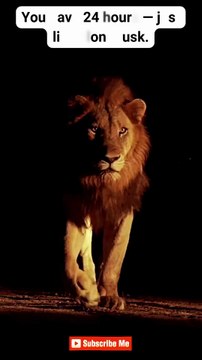 Stay Disciplined ♠ #motivation #mindset #quotes #hardwork #discipline #shorts