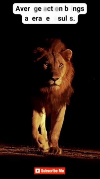 Stay Disciplined ♠ #motivation #mindset #quotes #hardwork #discipline #shorts