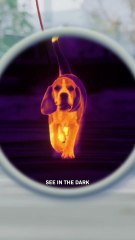 New Contact Lenses Let You See In The Dark