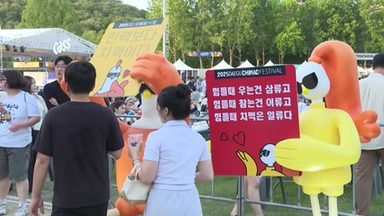 [대구] 국내 최대 치킨·맥주 축제 '대구 치맥페스티벌' 성황 / YTN