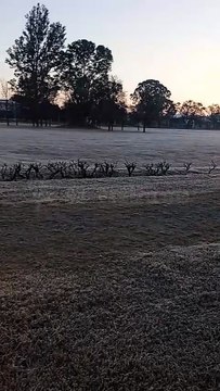 Salta otra vez bajo cero: Heladas extremas tiñen de blanco la ciudad con -6 grados de sensación térmica