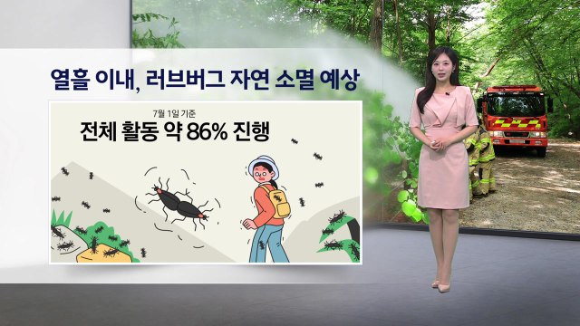 [이슈날씨] 열흘 이내, 러브버그 자연 소면 예상, 찜통더위는 갈수록 심해져... / YTN