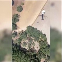 Balıkesir'de orman yangını