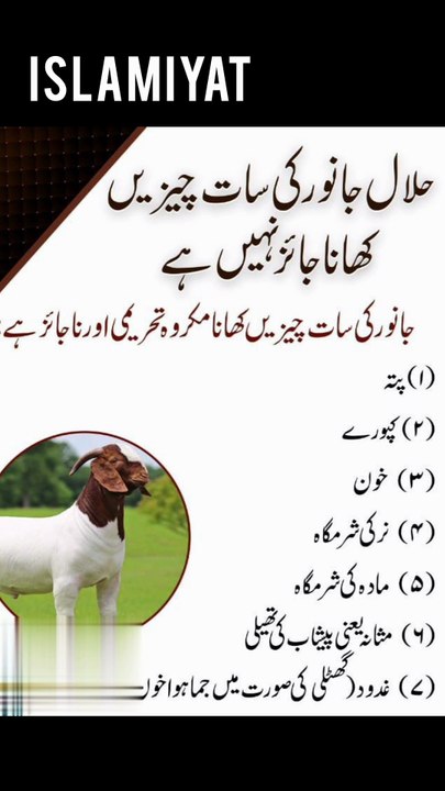 Halal jaanwar ki 7 cheezein jo khana mana hai