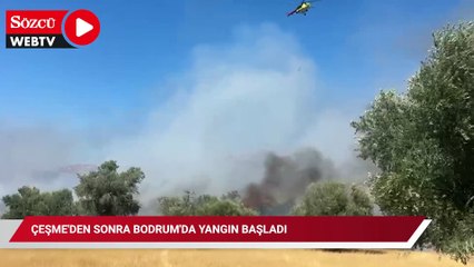 Çeşme'den sonra Bodrum'da yangın başladı