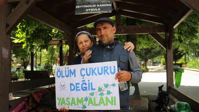 Köylülerden Meclis'in yanı başında zeytin nöbeti: 40 tane köyü, Türkiye’yi yok etsinler. Zeytin, meyve olmazsa Türkiye olmaz