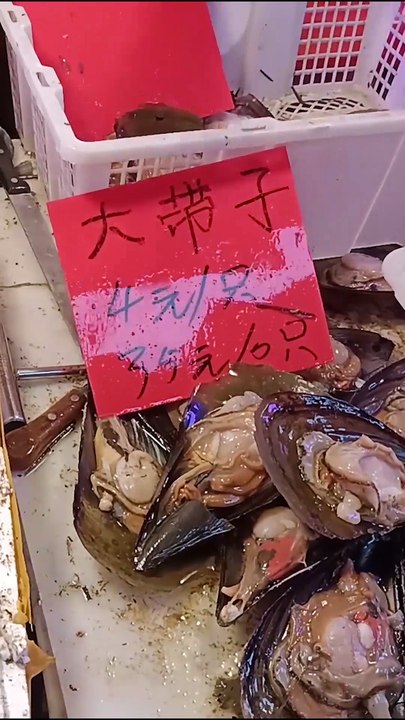 Insane Chinese Seafood in Shells! 🐚🤯 #Shorts  #dailyunfold #travel #china #shortsvideo