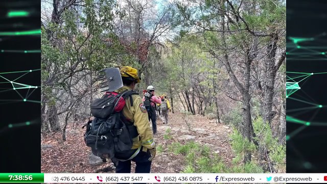 Sonora sin incendios forestales activos: Protección Civil hace balance de la temporada