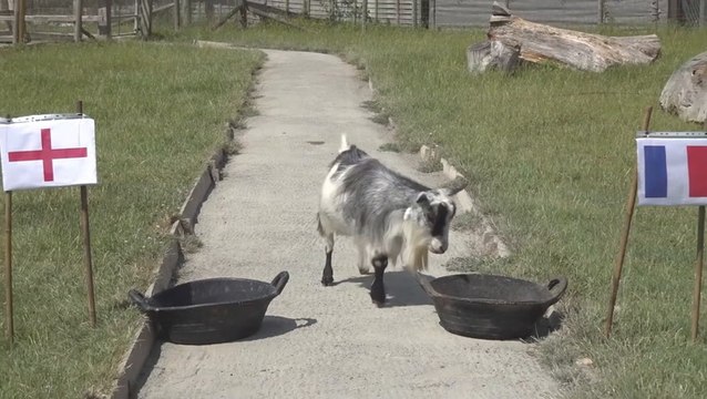 Russo the goat predicts result of Lionesses’ first Euros game against France