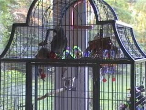 Hello le soleil brille brille hello