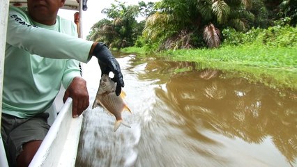 Vecinos piden usar indemnización por derrame para investigar contaminación en Madre de Dios