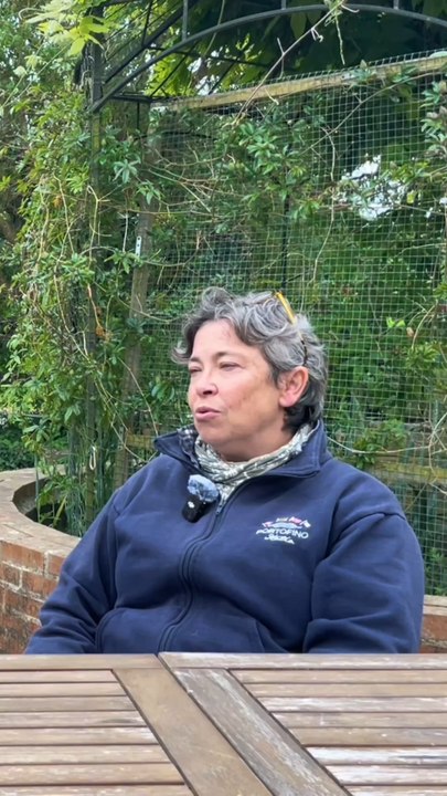 Cette éleveuse évoque l’importance de la sauvegarde de nos anciennes races de poules ! 🐔Retrouvez l’interview complète sur notre chaîne YouTube