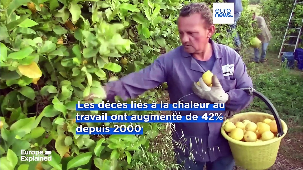 Augmentation de 42 % des décès dans l’UE liés à la chaleur au travail depuis 2000