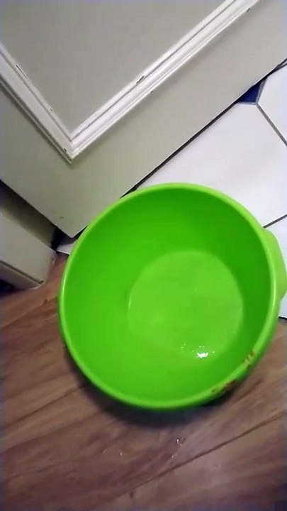 Rain Drops Keep Falling In The Pot!