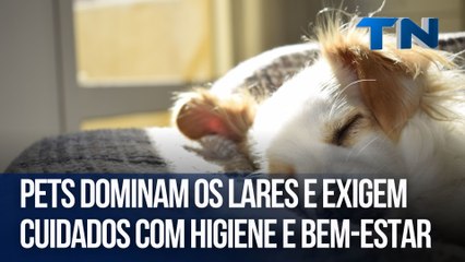 Pets dominam os lares e exigem cuidados com higiene e bem-estar