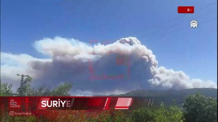 Suriye'nin Lazkiye kentinde orman yangını çıktı