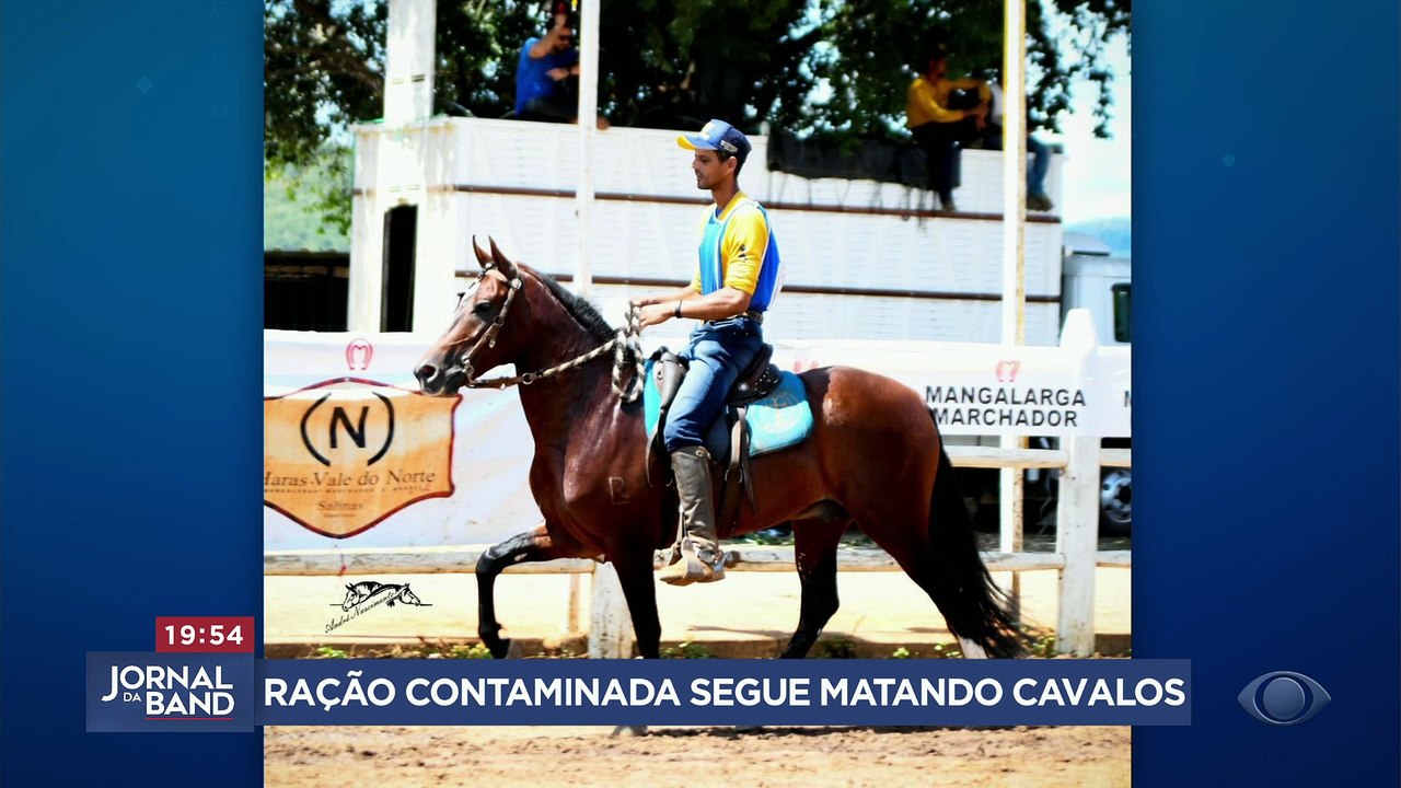 Ração contaminada segue matando cavalos