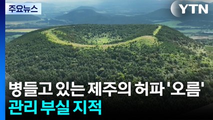 병들고 있는 제주의 허파 '오름'...관리 부실 지적 / YTN