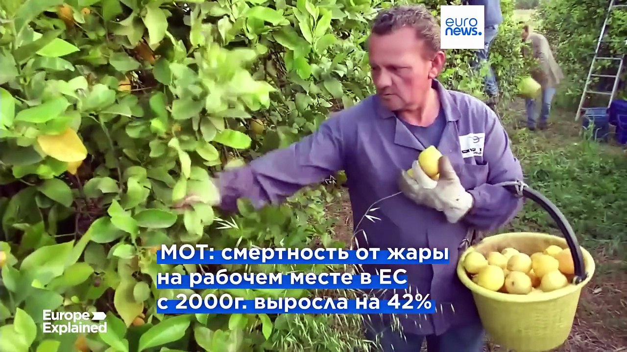 В ЕС смертность на производстве из-за жары с 20...