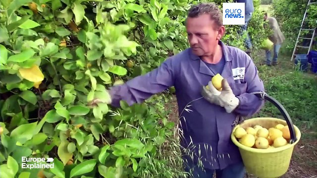 Unione europea: aumento del 42% dei decessi dovuti al caldo sul posto di lavoro dal 2000