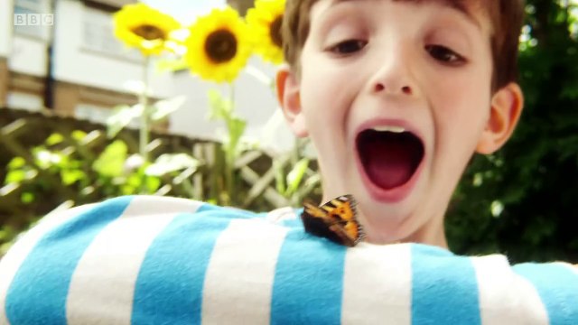 Cbeebies Topsy And Tim Birthday Party 2x28...mp4