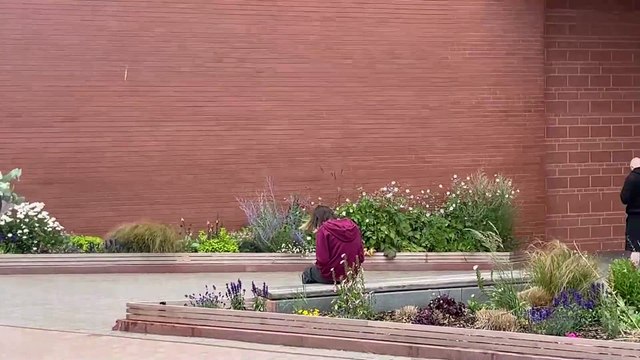 Jogadores do Everton prestam emocionante homenagem a Diogo Jota em Anfield