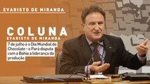 7 de julho é o Dia Mundial do Chocolate - o Pará disputa com a Bahia a liderança da produção