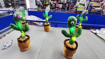 Having Fun with Dancing and Singing Cactus Plush Toy