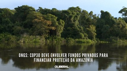 ONGs: COP30 deve envolver fundos privados para financiar proteção da Amazônia