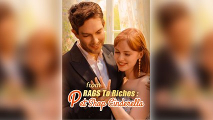 From Rags To Riches Pet Shop Cinderella Movie