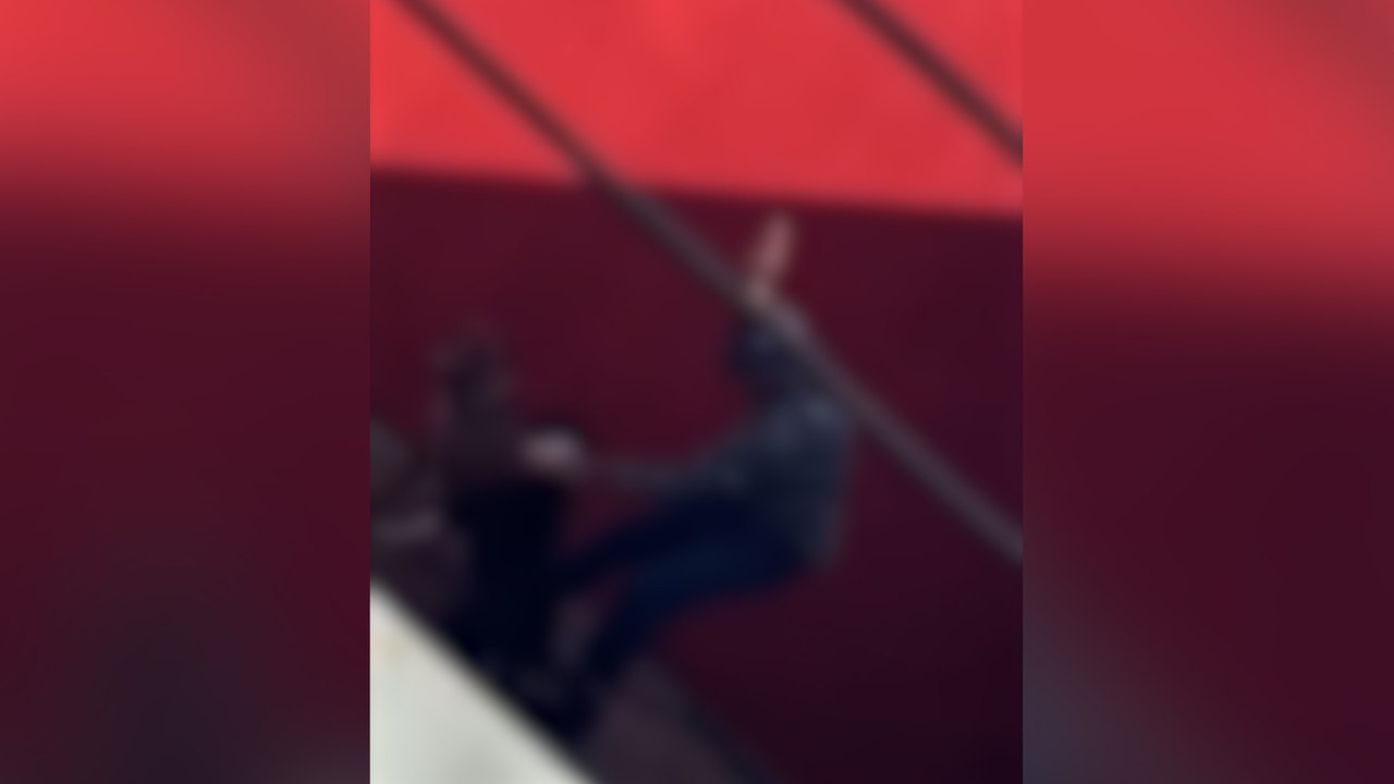 Revoltante! Vídeo mostra homem agredindo dois cães em Cascavel