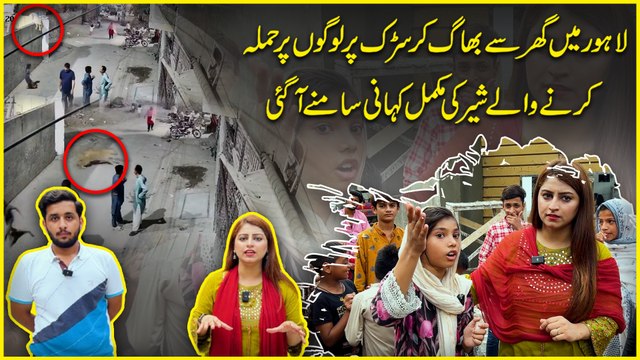 Lahore Mei ghar se bhag kar sarrak per logo per hamla karnay walay sher ki mukammal kahani samnay agai