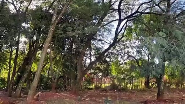 Bombeiros controlam incêndio em vegetação no Santo Onofre
