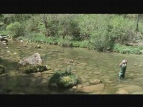 Pêche à la mouche en Suisse romande