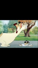 Hound Hunters (1947)