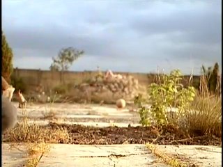 The Cement Garden 1993