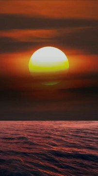 #Muslimah #Deen #Iman #Allah #IslamicVideo #IslamicQuotes #IslamicReminder #Peace #Faith #Ummah #IslamicContent#Trending #Viral #Popular #WatchNow #Share #Explore