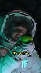 I Sent Karl To The Moon