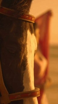 दिल छू लेने वाला लव स्टेटस | Heart Touching Love Status Video nice song