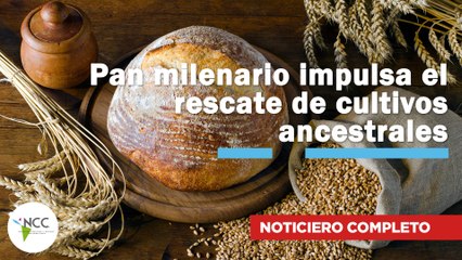 Pan milenario impulsa el rescate de cultivos ancestrales | 774 | 07 al 13 de julio de 2025