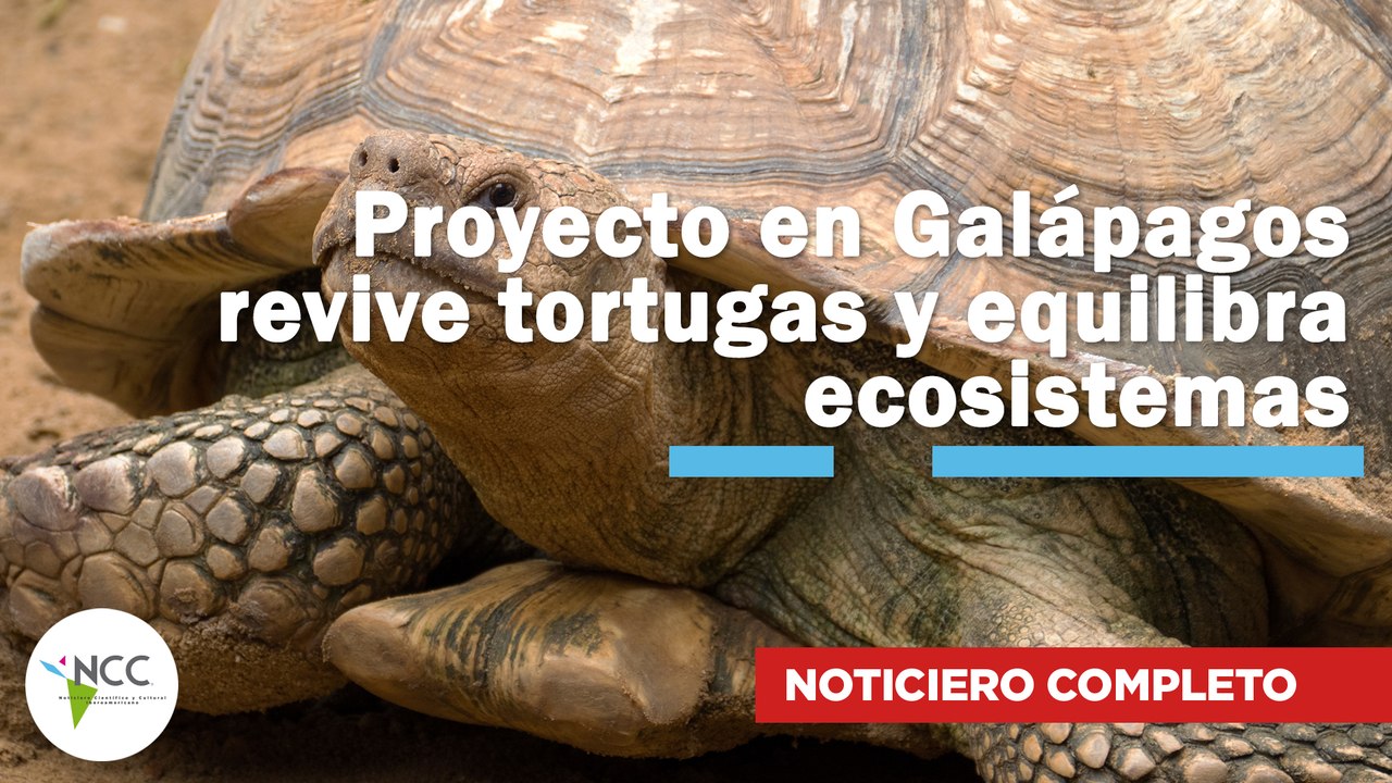 Proyecto en Galápagos revive tortugas y equilibra ecosistemas | 775 | 07 al 13 de julio de 2025