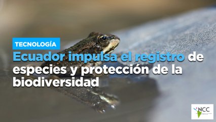 Ecuador impulsa el registro de especies y protección de la biodiversidad