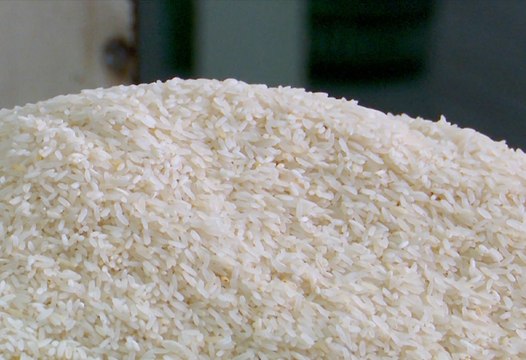 tn7-Estamos comiendo arroz con arsénico en Costa Rica 040725