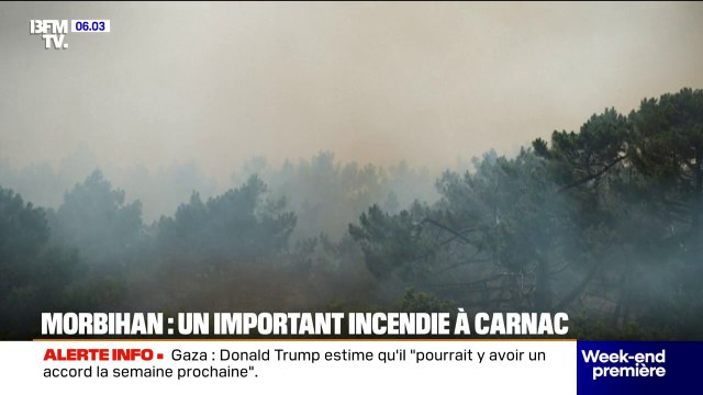 30 hectares de pinède partis en fumée après un important incendie dans l'Hérault