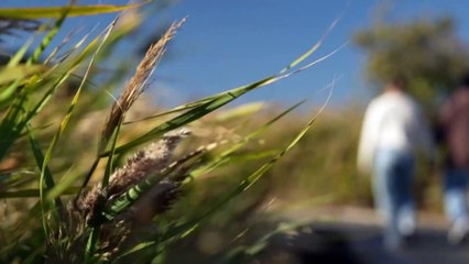 Tasmanian legal centre sees spike in asylum claims from LGBTQIA+ people