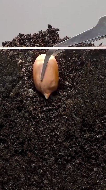 time lapse
