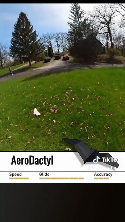 AeroDactyl