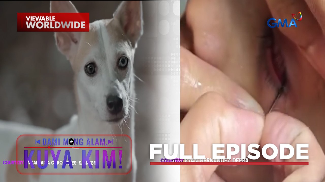 Mata ng isang bata, napasukan ng linta?; Aspin na artista?! | Dami Mong Alam, Kuya Kim!